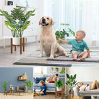 Adjustable Plant Stand Indoor,Bamboo Mid Century Modern Plants Stands, Stable Plant Holder,Fit 8 9 10 11 12 inch Pots (Pot & Plant Not Included)