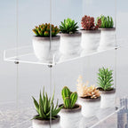 3-Tier Clear Hanging Window Plant Shelves, Indoor Acrylic Plant Stand