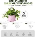 TOPOLA 5.2 Inch Hydroponic Happy Face Planter with 3 Interchangeable Grow Baskets, Water Culture Pot for Pothos, Lucky Bamboo & Plant Propagation, Decorative Desktop Planter for Home & Office, Sakura