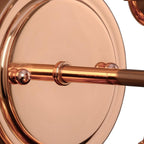Progress Lighting Brookside Outdoor Wall Lantern Light, Copper