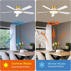 TALOYA 52 inch Ceiling Fans with Lights and Remote, Low Profile, White Gold