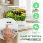 12 Pods Hydroponics Growing System Kit,Soil-Free Indoor Herbs Garden, White