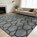 Shag Area Rug for Bedroom 5x8, Fluffy Area Rugs for Living Room, Geometric Soft by yulidayang