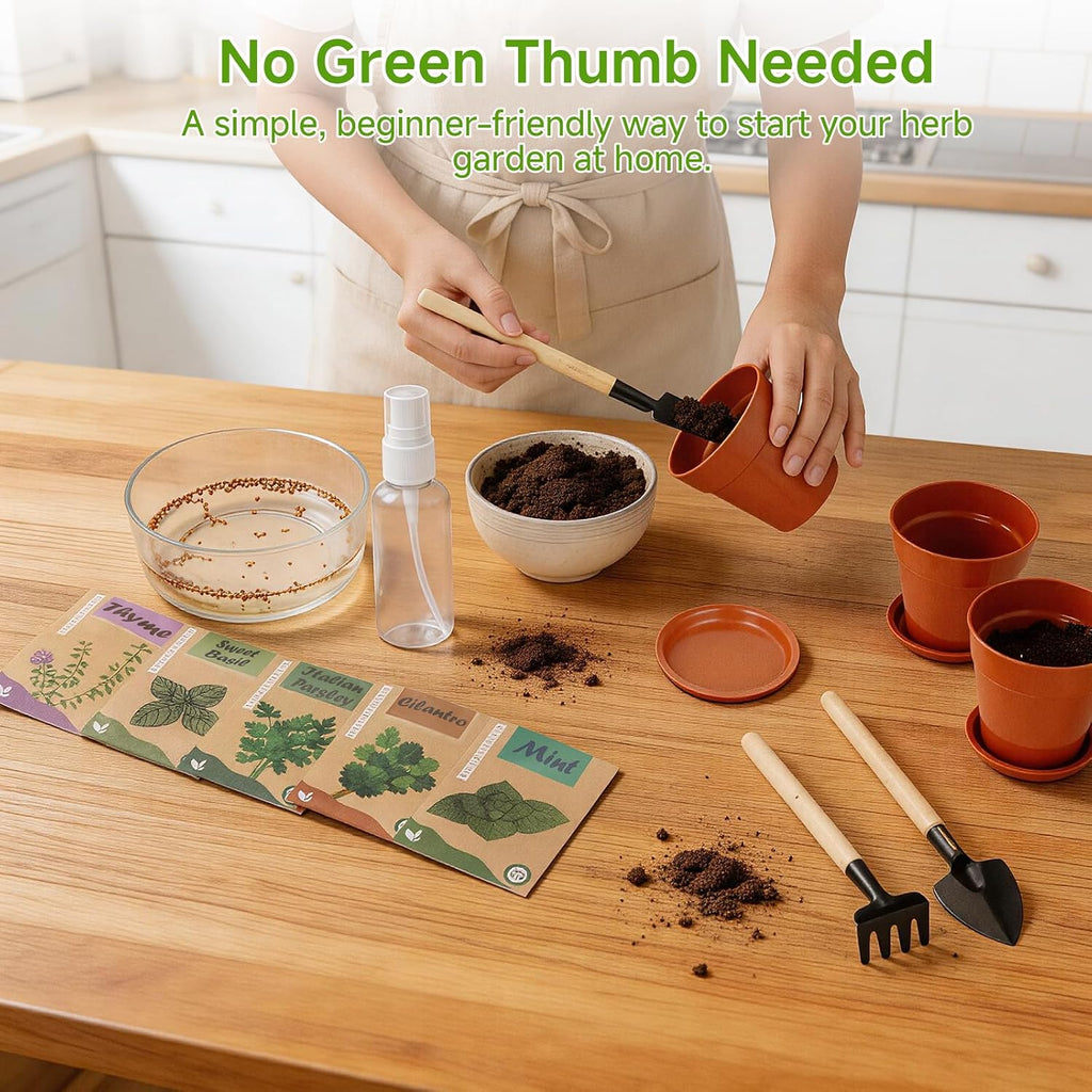Herb Garden Kit, Indoor Herb Garden Starter Kit with Pots & Herb Seeds, Beautiful Gift Box, Gardening Gift for Women & Mom, Birthday, Christmas & Housewarming