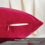 GIGIZAZA Decorative Couch Throw Pillow Covers, Pillow Cases Velvet Pillow Covers - Image 5