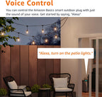 Amazon Basics Outdoor Smart Plug with 2 Individually Controlled Outlets, Works with Alexa Only, Voice Control, Weather Resistant, 2.4 GHz Wi-Fi, No Hub Required, Black