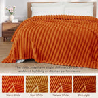 Exclusivo Mezcla King Size Flannel Fleece Blanket, Super Soft Striped Jacquard - Image 3