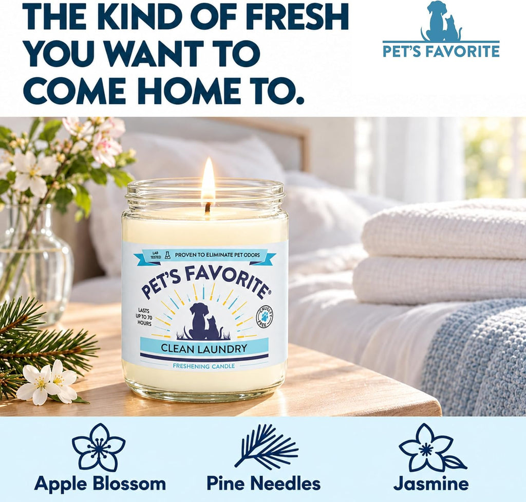 Clean Laundry Pet Odor Eliminator Candle Pet Friendly, 1 Pack