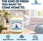 Clean Laundry Pet Odor Eliminator Candle Pet Friendly, 1 Pack
