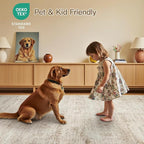 Lofus 4x6 Area Rug for Entryway, Washablee Soft Rugs for Bedroom, Living Room - Image 5