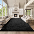 Ophanie Area Rugs 9x12 Living Room, Large Black Bedroom Carpet, Big Shag Indoor by Ophanie