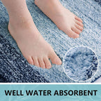 Arotive Microfiber Bathroom Rugs, Shaggy Soft Absorbent Bath Rug, 24x16