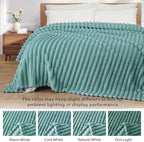 Exclusivo Mezcla Queen Size Flannel Fleece Blanket, Super Soft Striped Jacquard - Image 3