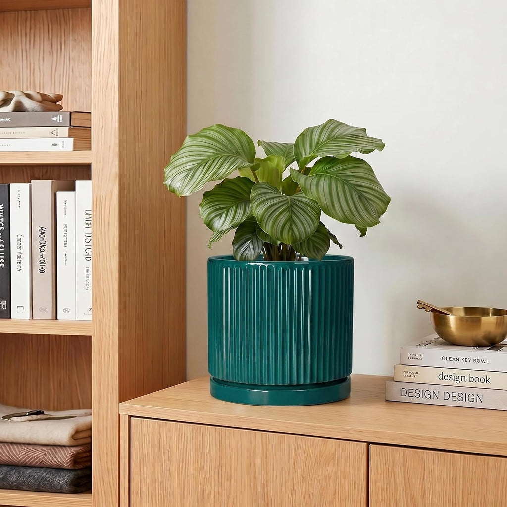 Ceramic Planter, 6 Inch Pots for Plants with Tray, Blackish Green