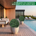 Grooy Artificial 2 Pack Boxwood Topiary Plant with Spike for Outdoor