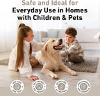 Creative Scents Multipurpose Enzyme Cleaner & Odor Remover | Deodorizer for Floor, Carpet, Drain, Pipes | Pet Urine Odor Eliminator | Enzyme Cleaner for Cat Urine & Dog Poop | Half Gallon - White Tea