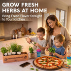Indoor Herb Garden Kit, Herb Growing Kit for Kitchen and Windowsill