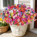 16PCS UV Resistant Artificial Flowers for Outdoors, Mix 8 Colors