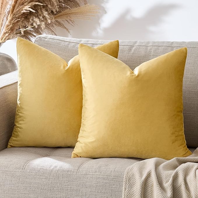 GIGIZAZA Decorative Couch Throw Pillow Covers, Pillow Cases Velvet Pillow Covers by GIGIZAZAFocusingonhomedecoration