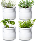 Phoenix Vine 4 Inch Self Watering Plants Pot, Design Terracotta Pot for Plants, Indoor Cylinder Terra Cotta Planter with Glass Vase, Set of 4, 51-A-E-4