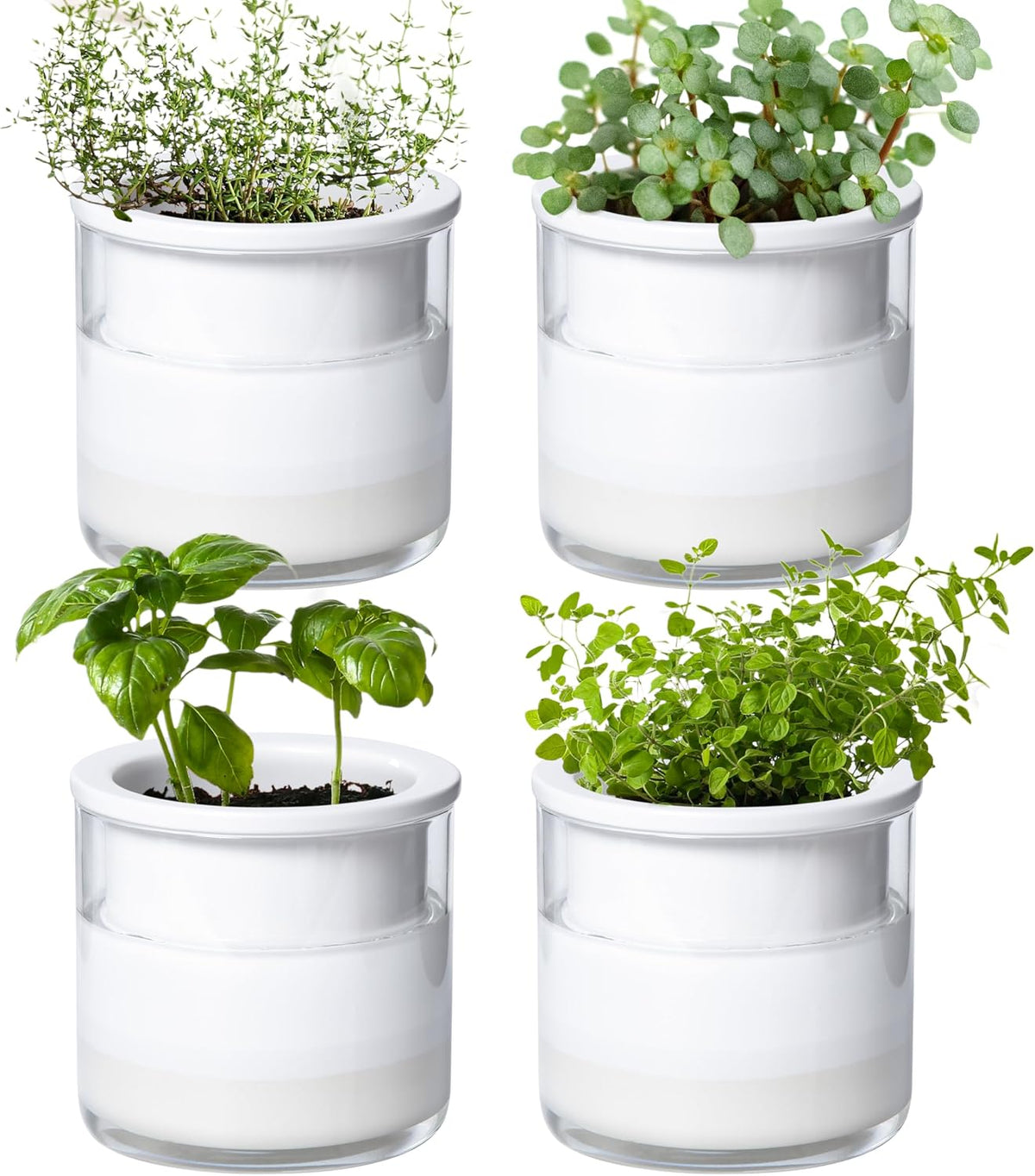 Phoenix Vine 4 Inch Self Watering Plants Pot, Design Terracotta Pot for Plants, Indoor Cylinder Terra Cotta Planter with Glass Vase, Set of 4, 51-A-E-4