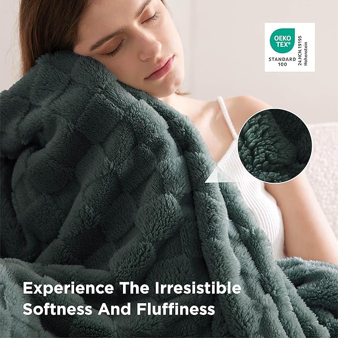 Bedsure GentleSoft Twin Blanket - Image 4