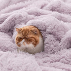 Bedsure GentleSoft Fluffy Lavender Purple Blankets Queen Size - Image 4