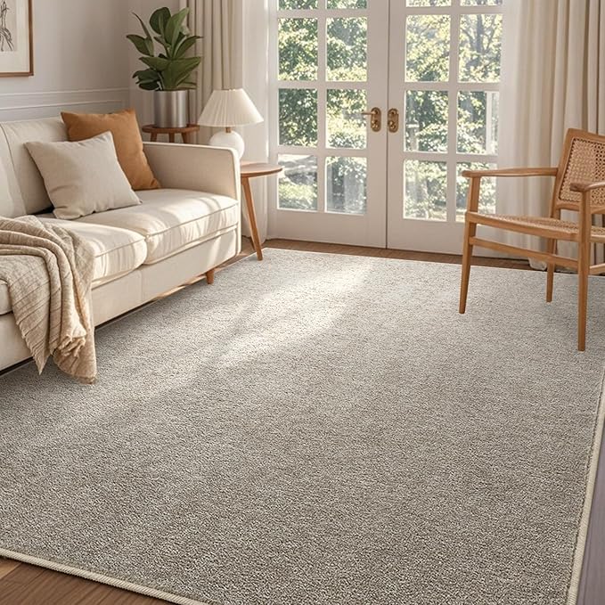 FinRèc 4x6 Washable Area Rugs for Bedroom Living Room, Low Pile Thin Rug Solid by FinRe%CC%80cHome