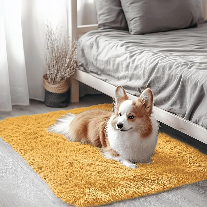 OLANLY 2x3 Machine Washable Small Bedside Rug, Soft Fluffy Shaggy Entryway by OLANLY