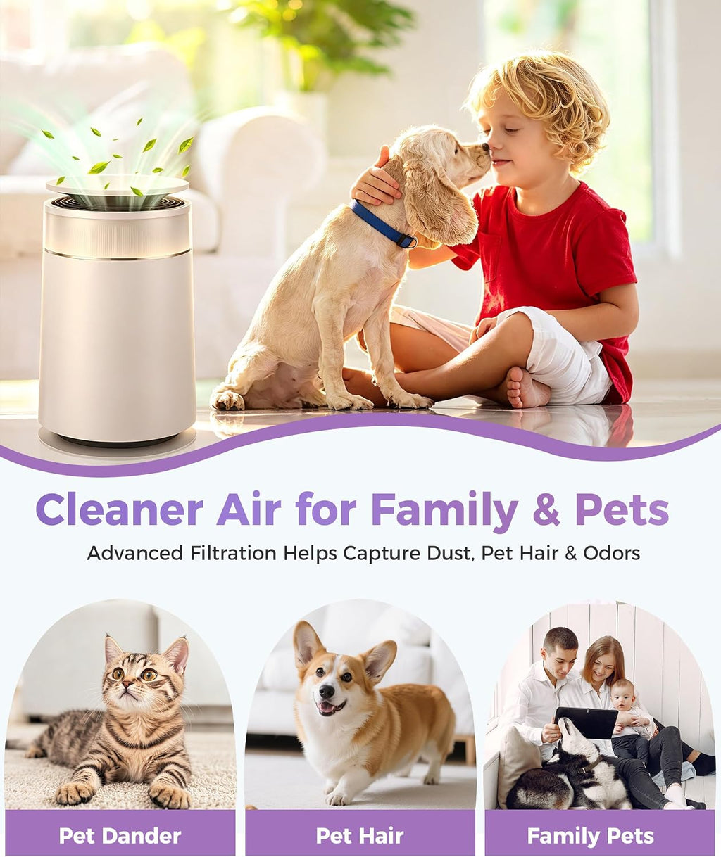 FP10 Replacement Filter Compatible with Dreame Air Purifier FP10