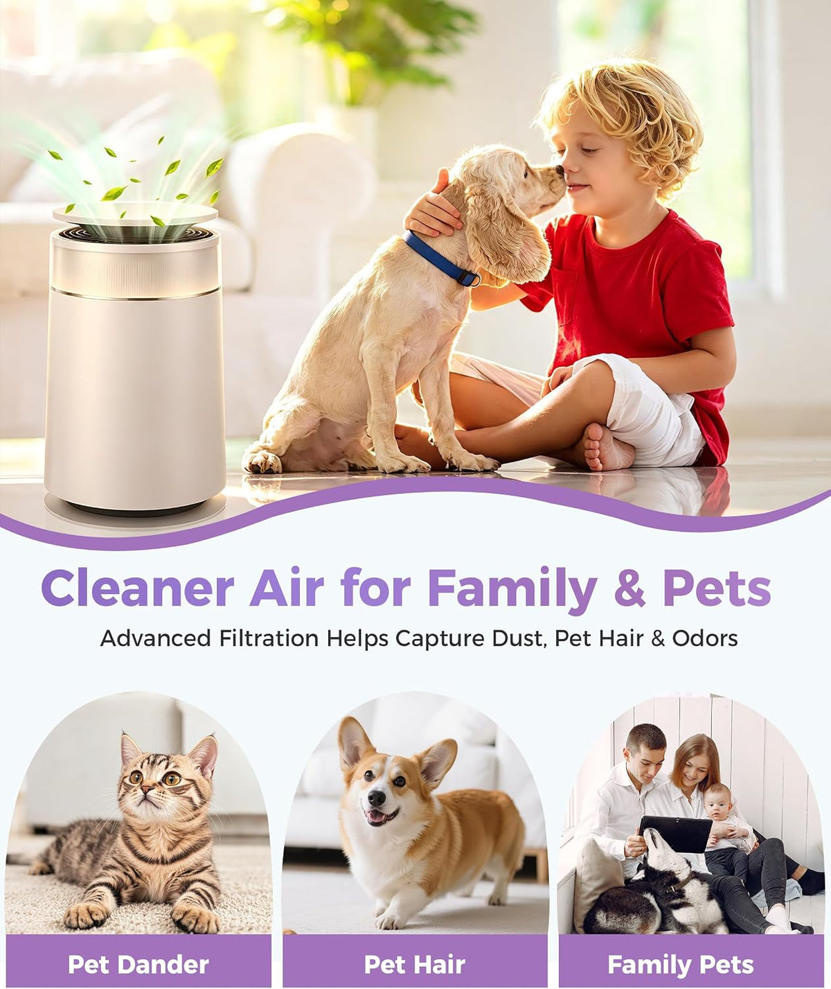 FP10 Replacement Filter Compatible with Dreame Air Purifier FP10