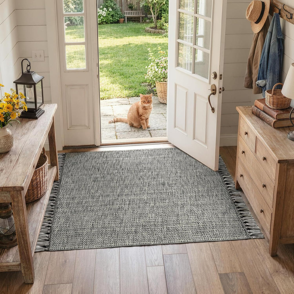 Collive 3' x 5' Indoor Entryway Rug, Boho Modern Grey Washable Kitchen Rug