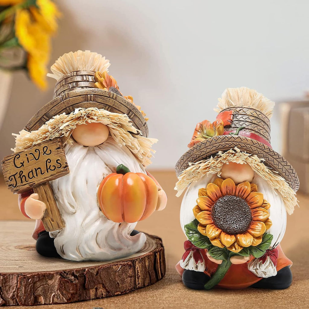 Hodao 2pcs Thanksgiving Gnomes Decor, Fall Decorations for Home