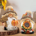 Hodao 2pcs Thanksgiving Gnomes Decor, Fall Decorations for Home