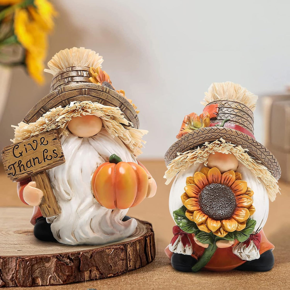 Hodao 2pcs Thanksgiving Gnomes Decor, Fall Decorations for Home