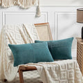 Fancy Homi 2 Packs Teal Lumbar Decorative Throw Pillow Covers 14x22 Inch by Fancy+Homi