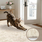 6x9 Area Rugs for Living Room: Vintage Boho Neutral Washable Rug Indoor Soft - Image 7