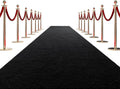 HOMBYS 450 GSM Extra Thick 3x10 ft Black Carpet Runner for Partys & Events, Heavy-Duty Felt Aisle Runway Rug for Steps, Prom Proposal & Wedding Ceremony Decorations, Hollywood Oscars for VIP Awards