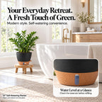 2 Pack 10 inch Plant Pots, Plastic Self Watering Planters