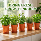 Herb Garden Kit, Indoor Herb Garden Starter Kit with Pots & Herb Seeds, Beautiful Gift Box, Gardening Gift for Women & Mom, Birthday, Christmas & Housewarming