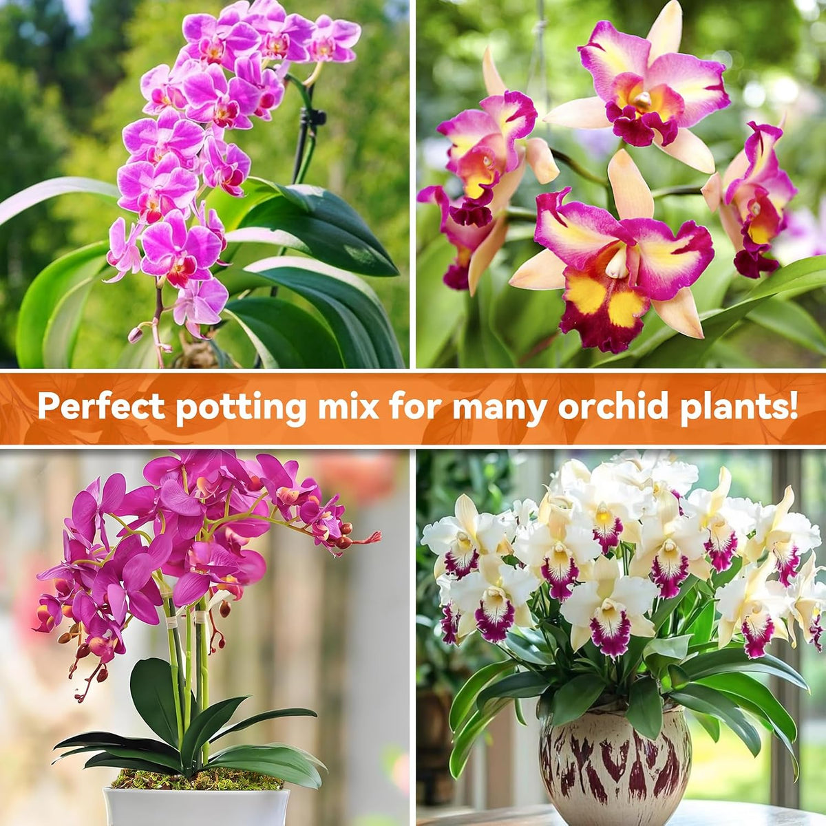 2QT Orchid Potting Mix for Repotting, Pre-Mixed & Ready-to-Use