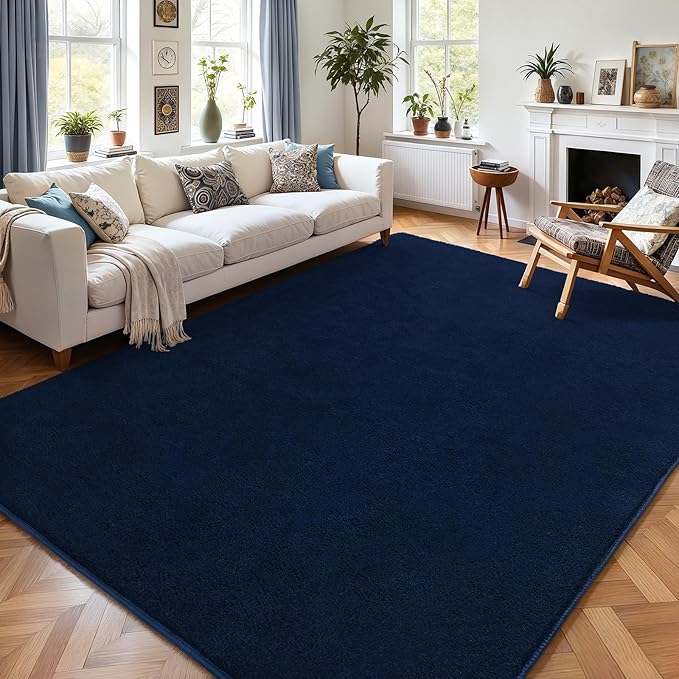 AROGAN Modern Shag Area Rug for Bedroom, 4x6 Feet Washable Rugs for Living Room by AROGANAREARUG