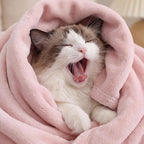 Bedsure GentleSoft Fleece Blanket Twin Size Pink - Image 3