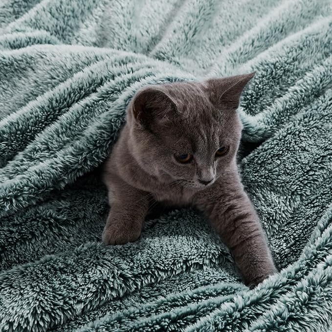 Exclusivo Mezcla Plush Fuzzy Fleece Throw Blanket Extra Large, Super Soft - Image 2