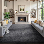 Ophanie 7x9 Area Rugs, Upgrade Non-Slip Fluffy Soft Rugs by Ophanie