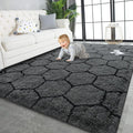 TWINNIS Super Soft Shaggy Rugs Fluffy Carpets, 6x9 Feet, Indoor Modern Plush by TWINNIS