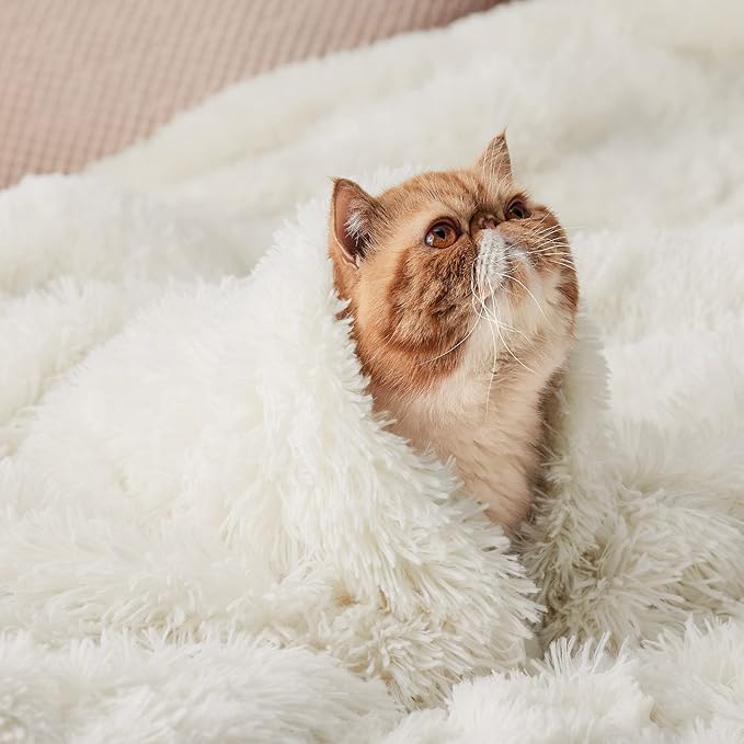 Bedsure GentleSoft Fuzzy Sherpa Faux Fur Twin Blanket Cream Cozy Gifts - Image 9