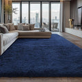 Shag Area Rugs for Bedroom Living Room, Ultra Soft Fluffy Area Rugs for Dorm by Boshengya