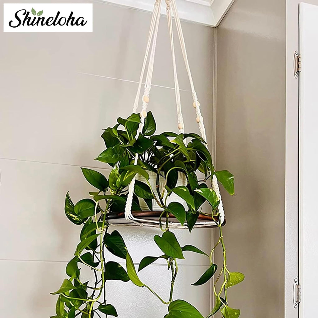 2 Pack Plant Hanger Indoor, Hanging Plant Shelf (12" + 10")