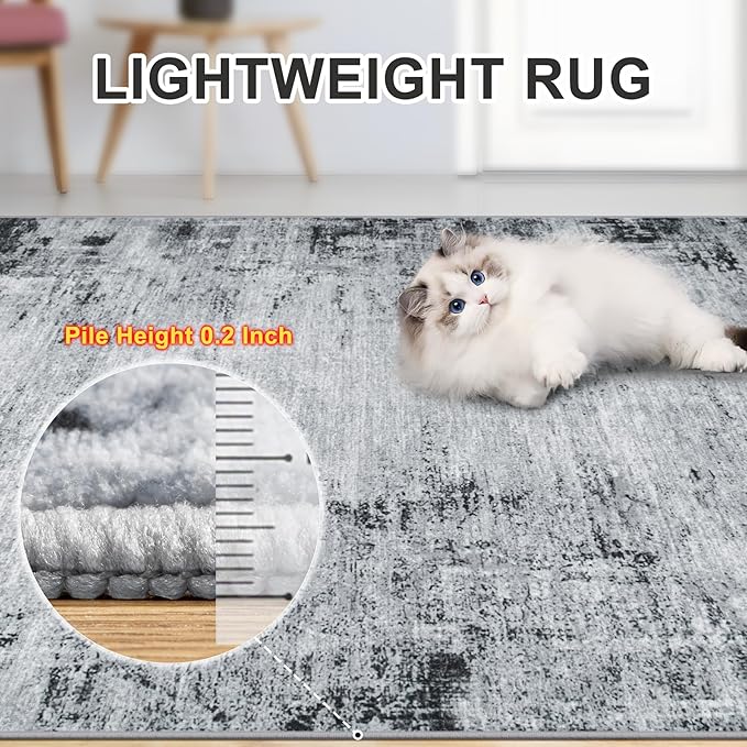 8x10 Area Rugs for Living Room - Image 6